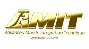 AMIT-truebility-services